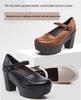 Retro Women's Mary Jane Wedge Platform Shoes - 2026 Spring Collection, High Heels with Thick Heel and Soft Sole, Waterproof Single Shoes