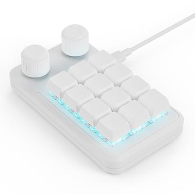 Programmable 12 Key Mini Mechanical Gaming Keyboard With Dual Knobs and RGB Lighting Type C Cable
