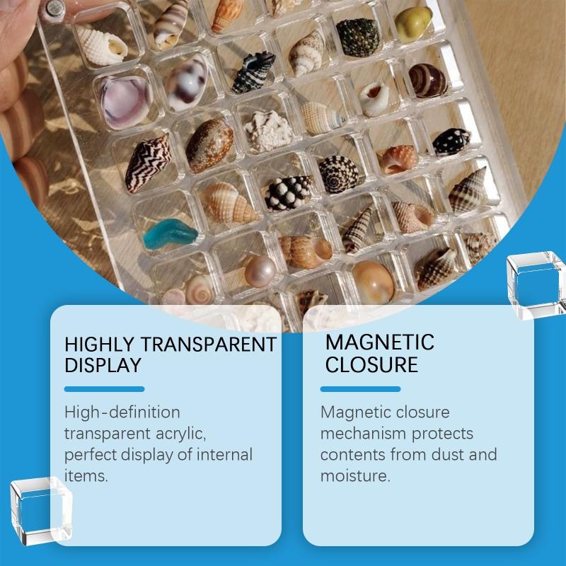 Clear Shells Display Case Seashells Storage Box for Home Decoration and Museums