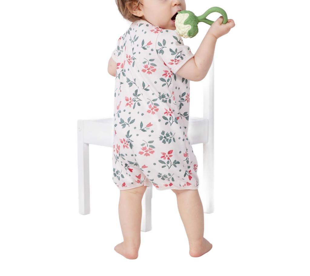 Short Set of 6 67cm [Petit Bateau] Rompers, 2, A0CNH, Multi-color 1, Months,