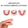 Krasada Make your own Denture temporary resin whitening oral care supplies Make your own dentures Drugstore Oral Care 2Pc dentures! materials, teeth,