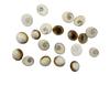 GOLDENER QUARZ - DER KRISTALL-HUB - Original Muschel Gomti Chakra für Puja Steigert das Einkommen und hält Negativität fern (11er-Set)