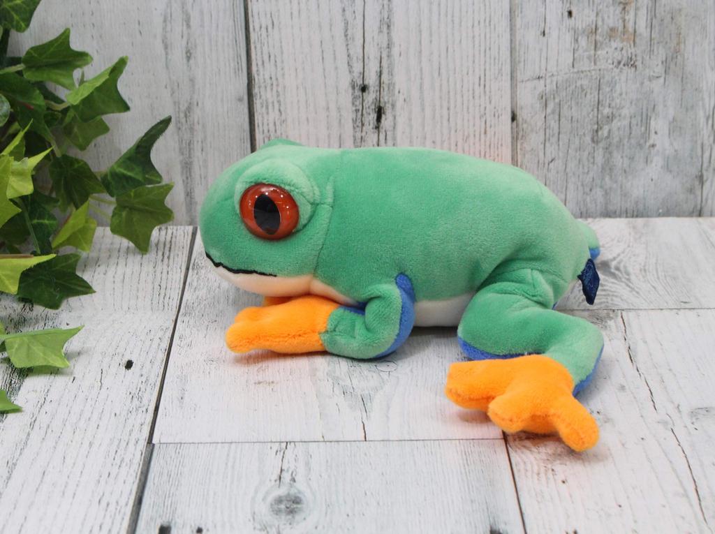 Take Off Animania Red-eyed Tree Frog 062124