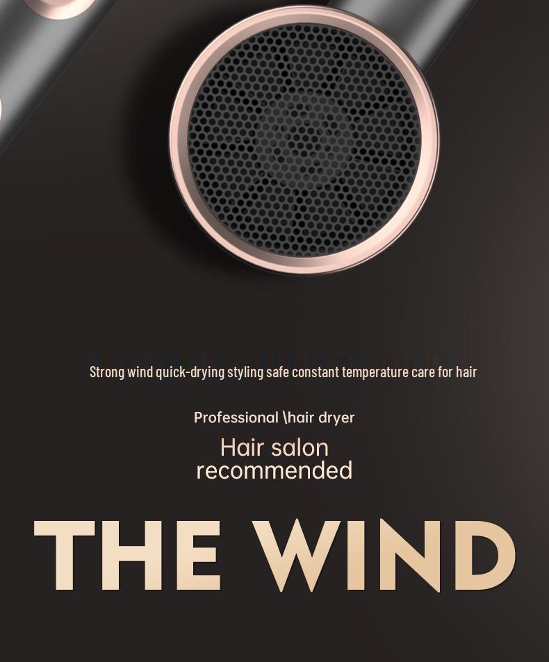 High-Power Quiet Wireless Hair Dryer with Large Airflow and Negative Ion Technology - Germany