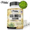 Cápsulas de Musgo Marinho - Musgo Irlandês, Fucus Vesiculosus, Bardana, Saúde Digestiva e Imunológica