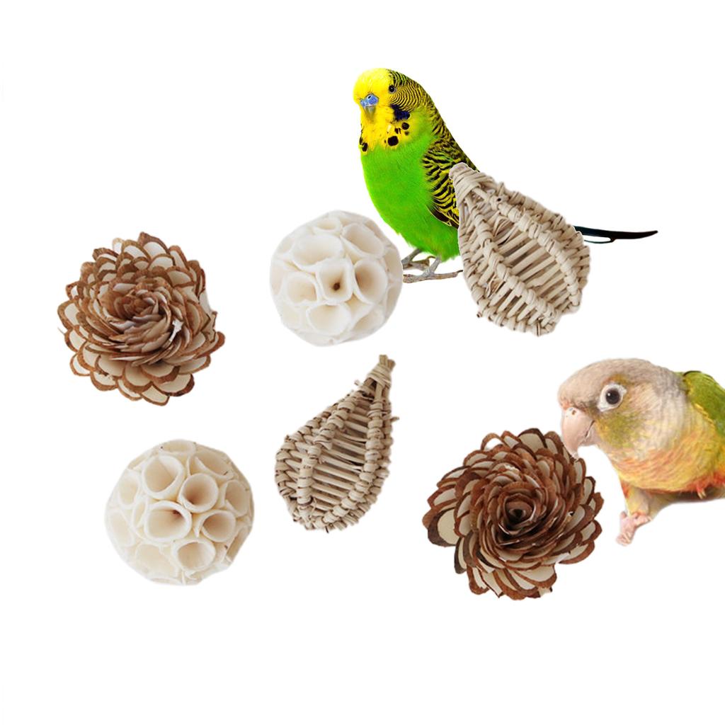 Parrots Grinding Chew Toy Wood Chew Training Supplies Natural Wood Rattan Molar Toy for Pet Bird Tearing Grinding