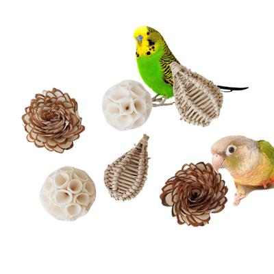 Bird Chew Toy Parrots Cage Toy Natural Wood Molar Foraging Toy for Budgies Parrots Small Size Birds for Cage