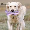 Play Toys for Medium Dogs Dog Treat Stick Holder, Prevents Choking, Rubber Chew Toy, Pet Holder Branch Shape, Teeth Cleaning Toy Small And Natural