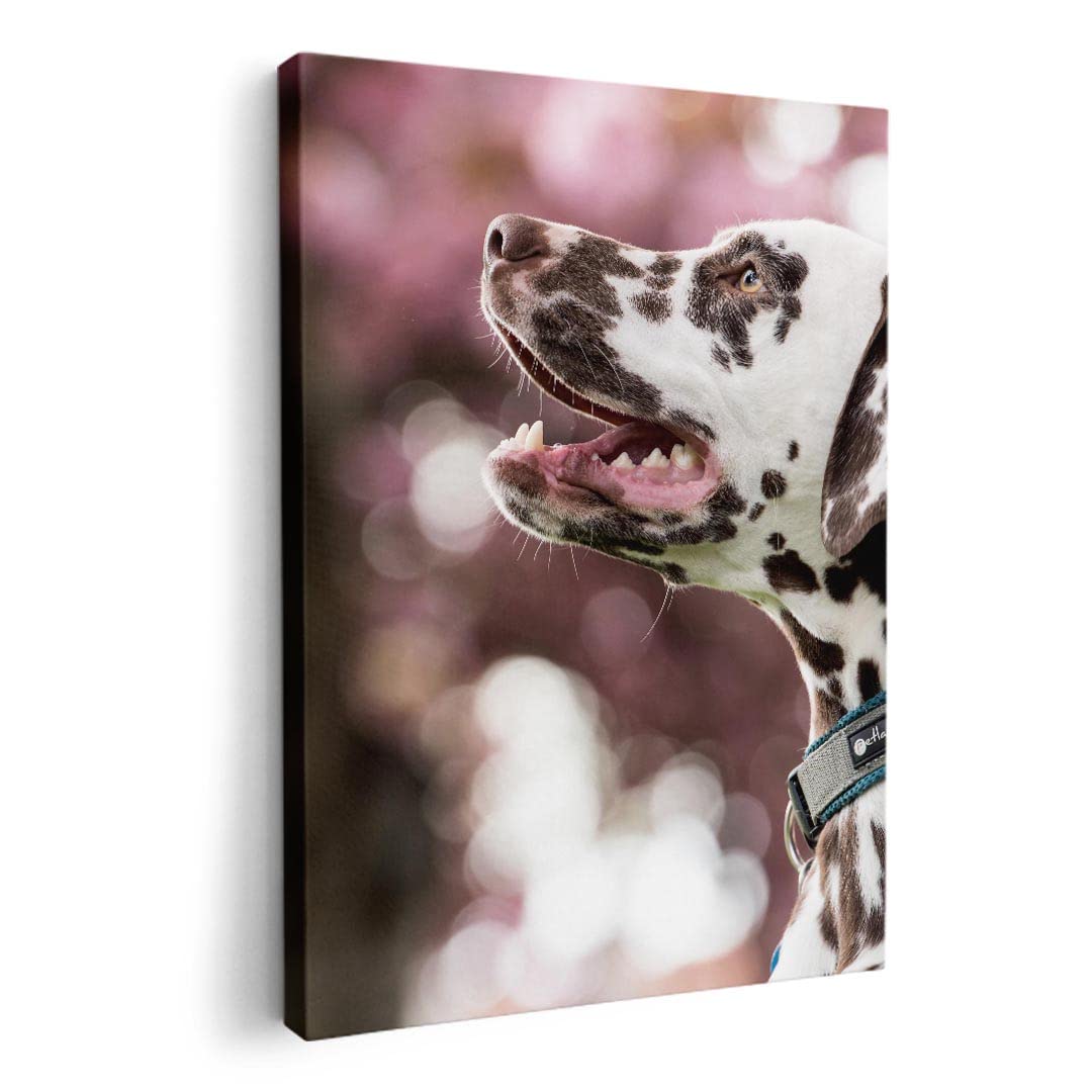 

Art 420mm x Wall Wooden Stylish Interior Animal Photo Panel, Painting, Decoration, igsticker, 297mm, A3, Photo, Hanging, Frame, Decor, 023189, Dog,