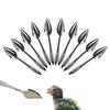 10pcs Portable baby bird feeding water spoon bird parrot feeding spoon stainless steel water milk powder feeder spoon bird food