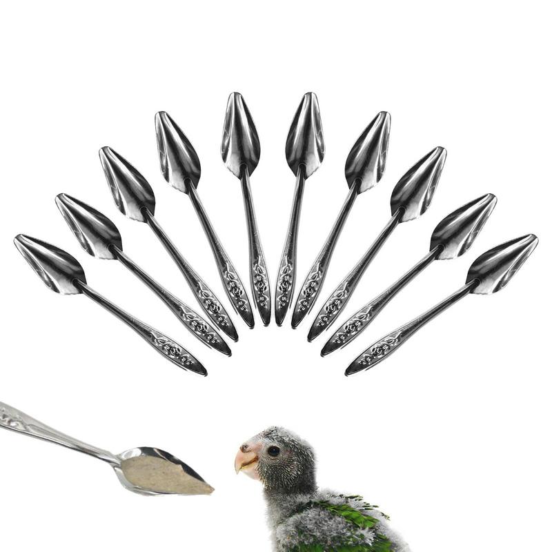 10pcs Portable baby bird feeding water spoon bird parrot feeding spoon stainless steel water milk powder feeder spoon bird food