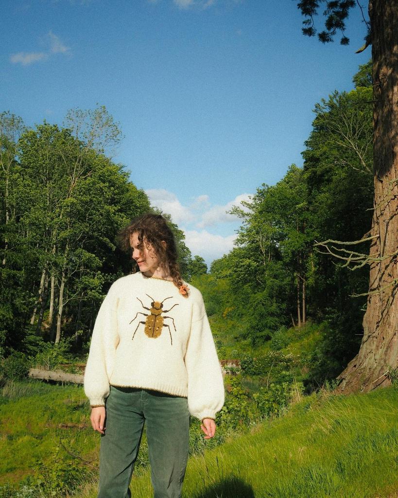 Round Neck Long Sleeve Loose Sweater with Insect Jacquard Pattern - Cute European and American Style