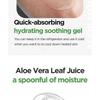 ISNTREE Aloe Soothing Gel Moisture Type Bundle Set