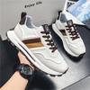 Luxury 2024 Spring and Autumn New Thick Sole Elevated Men's Casual Shoes Outdoor Versatile Breathable Running and Sports Shoes
