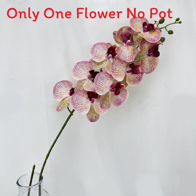Phalaenopsis Aphrodite Rch Artificial Flower For Wedding Decor And Home Arrangement