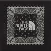 The North Face Men S Bandana ShorT Sleeve T ShirT nT7ur13a Black