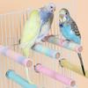 Colorful Parrot Standing Perch Comfortable Grip Bird Teeth Chew Pole  Small Medium Birds