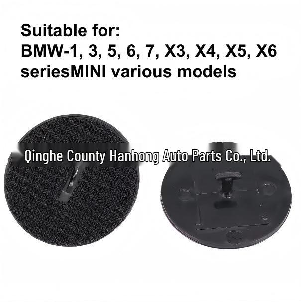 BMW Mini and More: Floor Mat Carpet Fixing Buckle