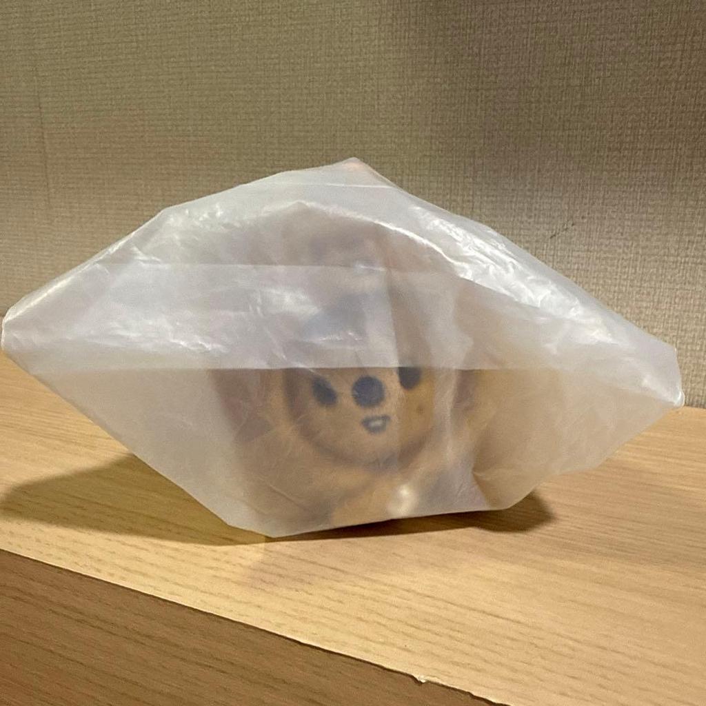 [USED] Stray Kids Lying Key Ring Keychain Hank Okka