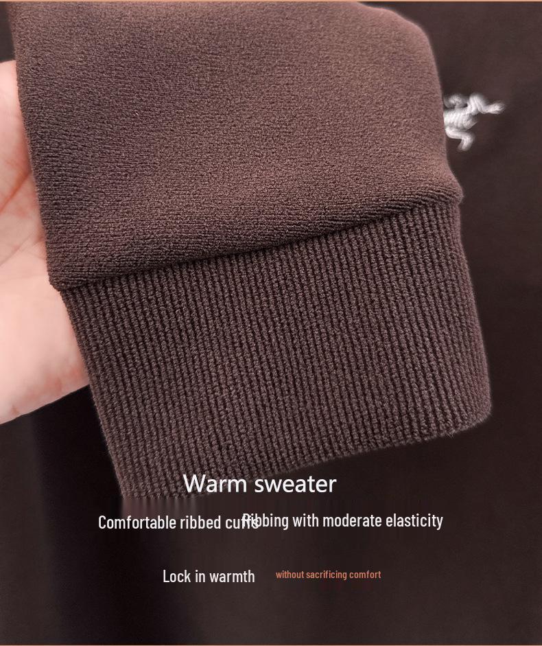 Men's Half-Zip Oatmeal Fleece Wool Hoodie, Autumn/Winter, Stand Collar, Fashionable & Versatile Long Sleeve