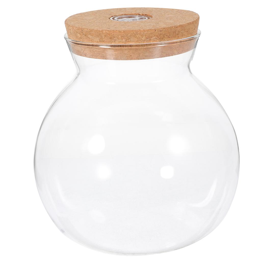 Pot met deksel Landschap Fles Micro Ambachten Doe-het-zelf Borosilicaatglas Ecologisch Mos Eenvoudige Plant Terrarium Landschapsinrichting Wit