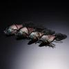 Tail Walk JOINT ZOE NAKACHA GILL II