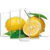 Five Piece Picture Canvas Print Fruits Lemons