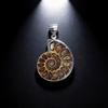 Shell Pendant With Polished Shell Beads For Style Jewelry