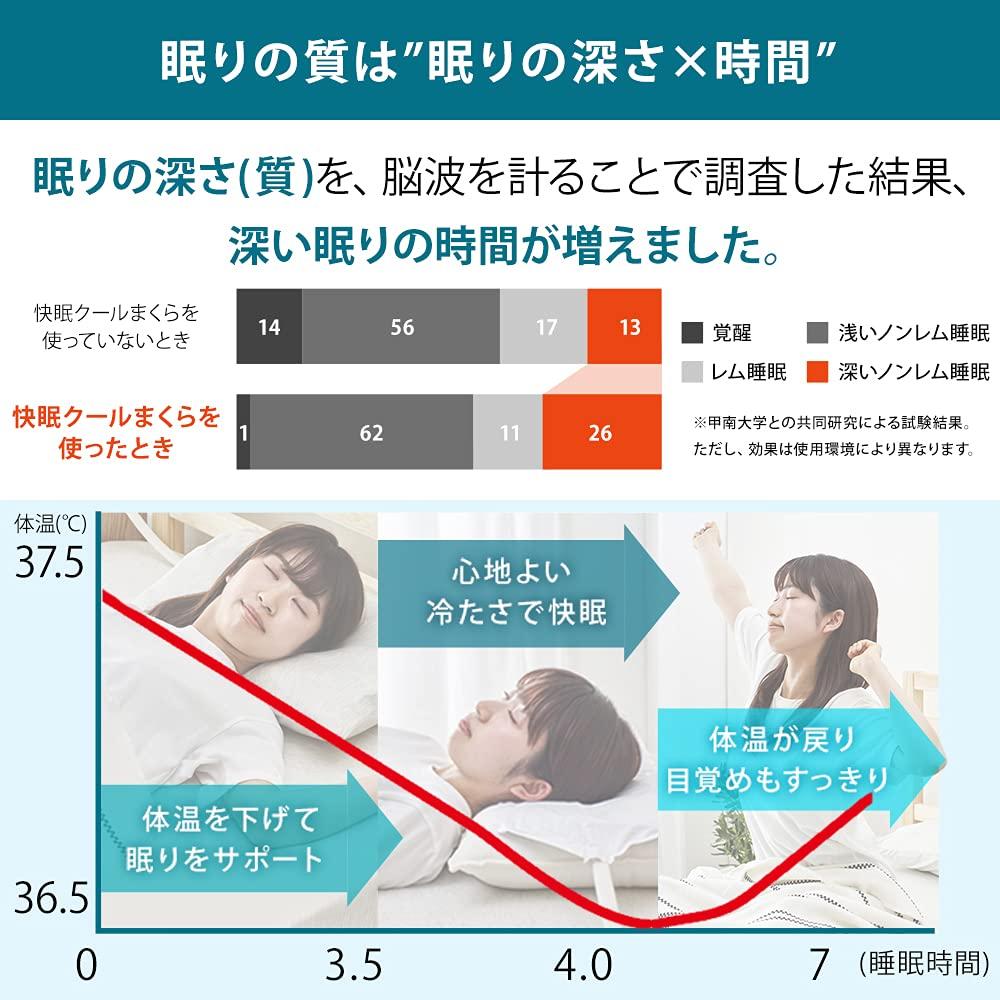 Iris Ohyama Cool Sleep Pillow, White, SCP-450