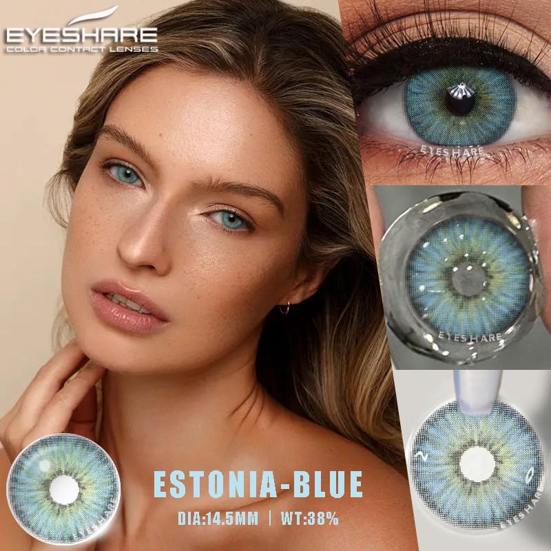 Eyeshare 1 Pair Holland Yearly Contact Lenses Blue Colored Eye Contacts Natural Gray Pupils For Men