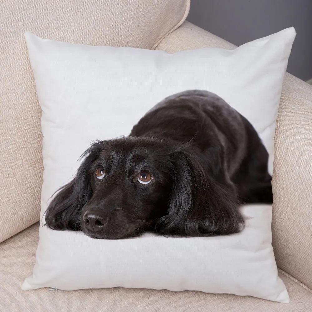 Mini Dackel Hund Kissenbezug Dekor Haustier Tier Kissenbezüge Superweicher Plüsch Kissenbezug für Sofa Zuhause Kinderzimmer 45x45cm