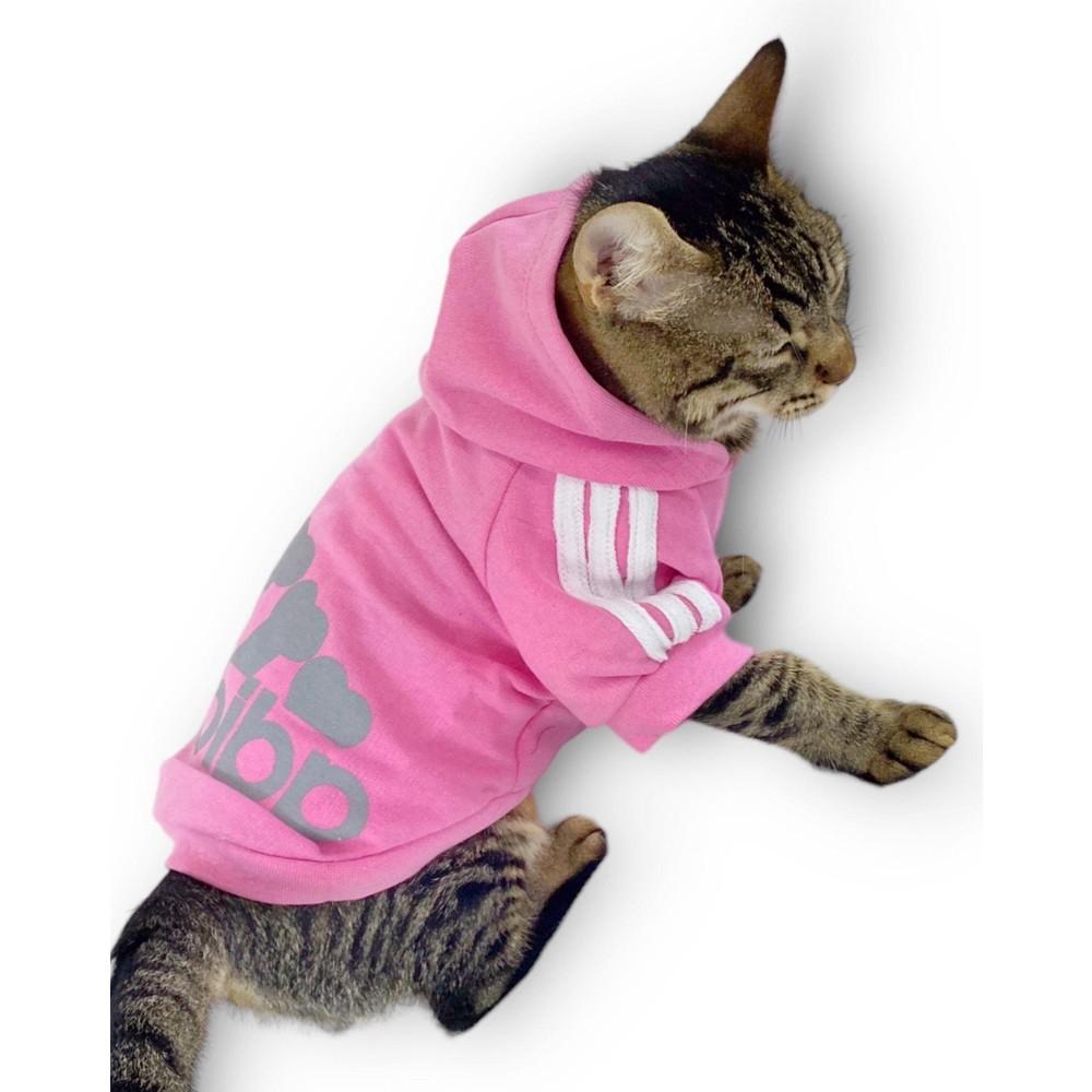 Buy Cat Clothing and Supplies at affordable prices — free shipping