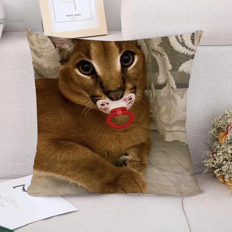 Caracal Poduszki na sofę Poszewka dekoracyjna x Poszewki na poduszki Poduszki dekoracyjne Wystrój domu Poszewka na poduszkę Krótki plusz