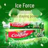 Colgate Ice Fresh Longjing Tea Scent Toothpaste Family Pack