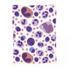 Large White Blood Cell Pattern Blanket Flannel Sofa Throw Blanket Super Soft for Home Bedroom Travel Throws Bedspread Quilt