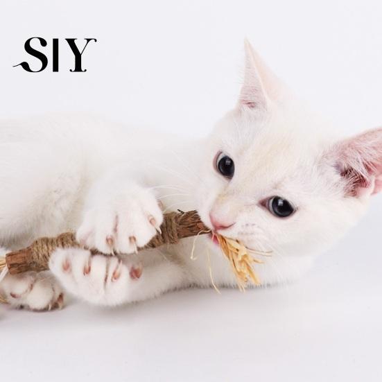 Chewable Cat Dental Stick Chew Toy Natural Vine Sticks Health Molar Catnip Treat Toys Teeth Cleaning for Indoor Kittens Interactive Playtime