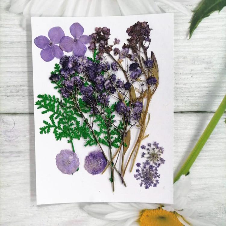 Pressed Dried Flower DIY Kit: Bookmark, Resin, & Phone Case Embossing Materials