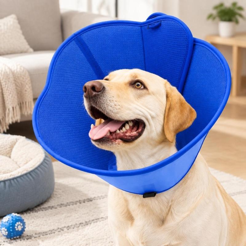 Pet Recovery Collar with Bounded Edges, Wearable Barrier for Care and After-Grooming Pet Recovery, Lick Proof Design