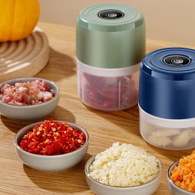 Mini Tritatutto Elettrico Ricaricabile USB Tritacarne Acciaio Inossidabile Robot da Cucina 100ml/250ml Tritacarne Multifunzionale per Casa Viaggio