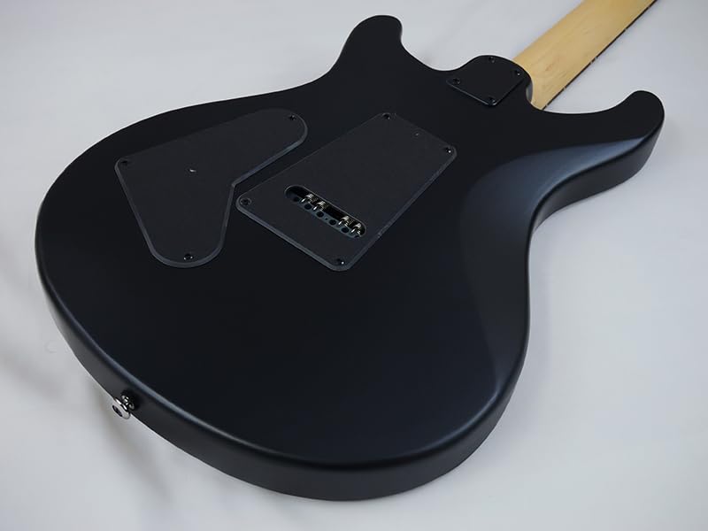 Paul Reed Smith(PRS) SE Swamp Ash CE 24 LTD 3S Sandblasted (Blue)