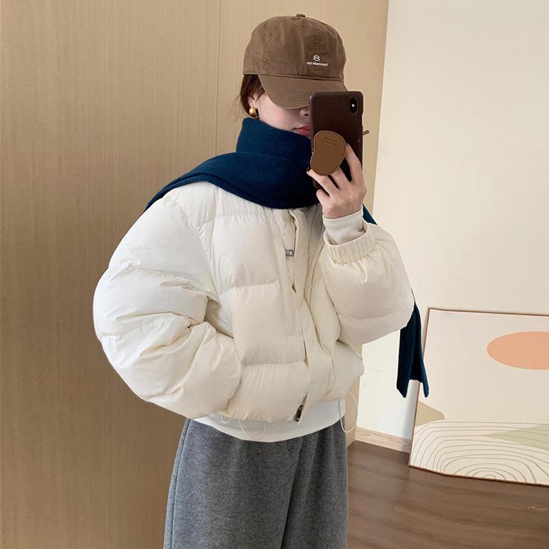 Small Korean stand-up collar short down jacket 2025 winter simple loose and thin bread jacket top jacket women