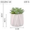 Small, Wavy Cup-Shaped Simulated Succulent Plant Potted Plant, Nordic Office Furniture Fresh Decoration