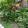 Modern Design IP65 Waterproof LED Owl Solar Light with 360 Beam Angle for Outdoor Garden Courtyard Lawn Decor