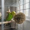 Kauspielzeug für Vögel, bissfest, Futterspielzeug für Vögel, Papageien-Hänge-Grasball, Wellensittiche