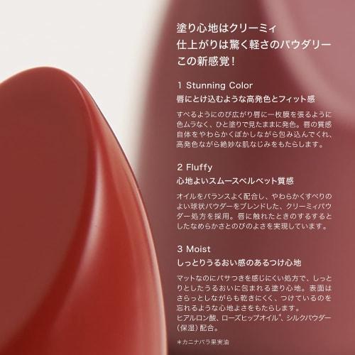 RMK Official RMK The Matte Lipcolor 02 Demuir Pink The Matte Lipcolor
