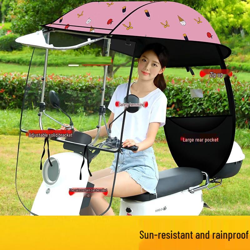 Electric Vehicle Rain and Sun Canopy