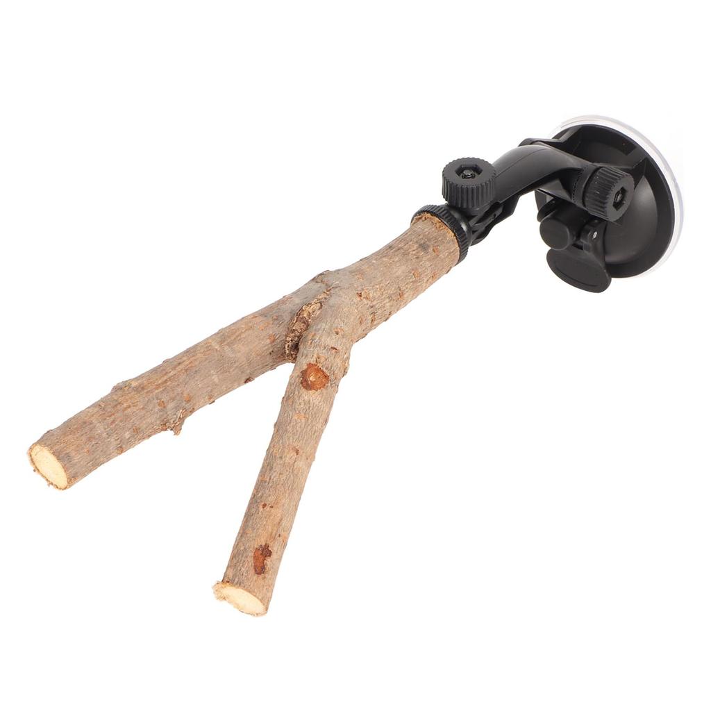 Bird Branch Perch Stand Training Interactive Prevent Slip Wooden Parrot Perch with Suction Cups for