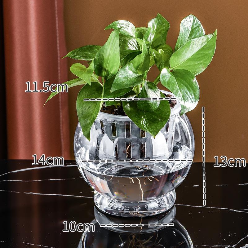 Small Hydroponic Vase for Phalaenopsis & Succulents - Desktop Decoration
