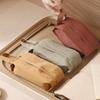 Kashicong Portable Travel Underwear & Sock Organizer Bag