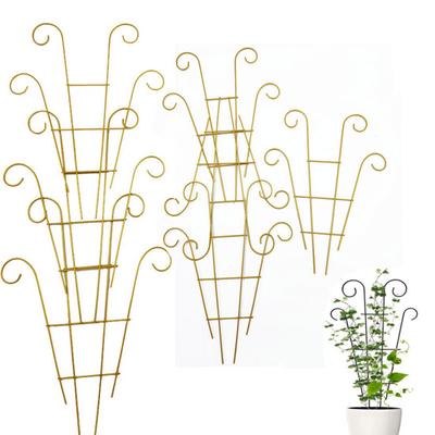 Indoor Potted Plants Support High Stability Rustproof Vertical Cultivation Simple Installation Metal Trellis Climbing Plant Holder